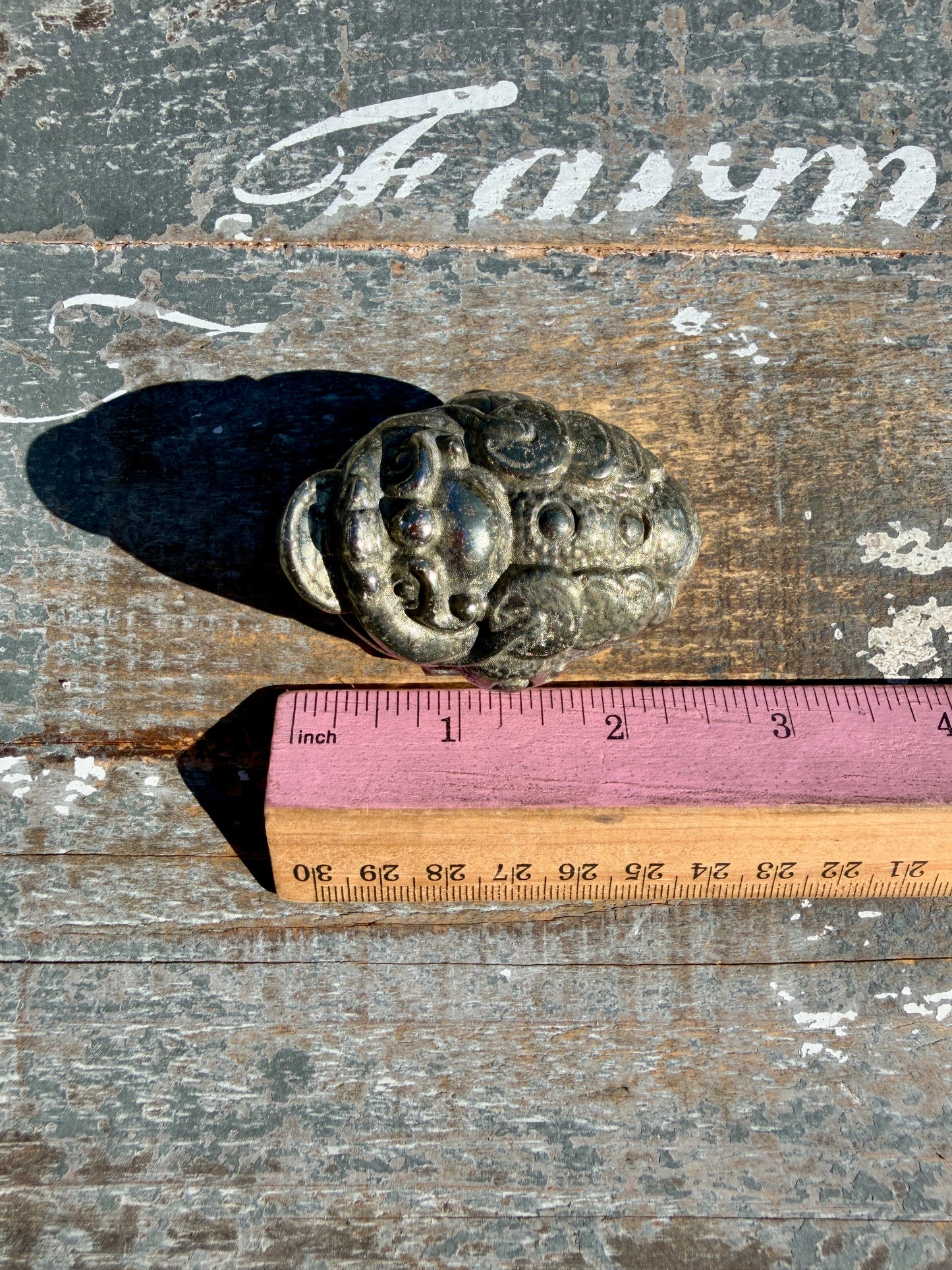 Money Manifestation Pyrite Money Toad | Opt 24