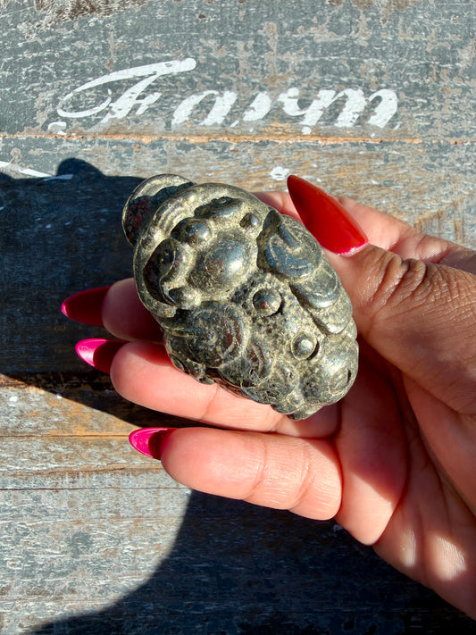 Money Manifestation Pyrite Money Toad | Opt 25