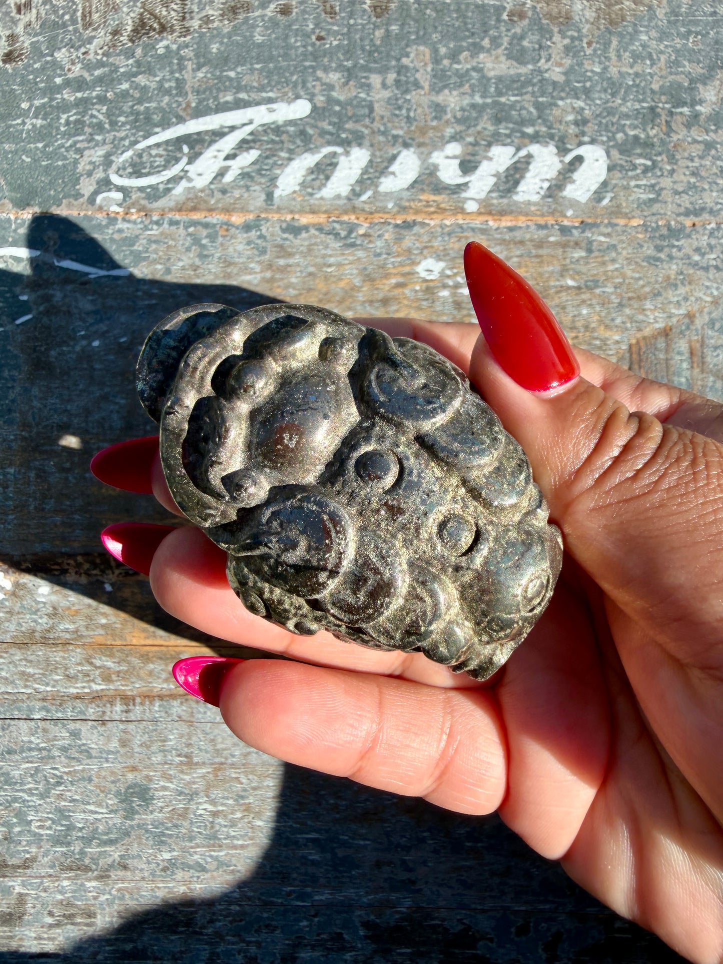 Money Manifestation Pyrite Money Toad | Opt 49