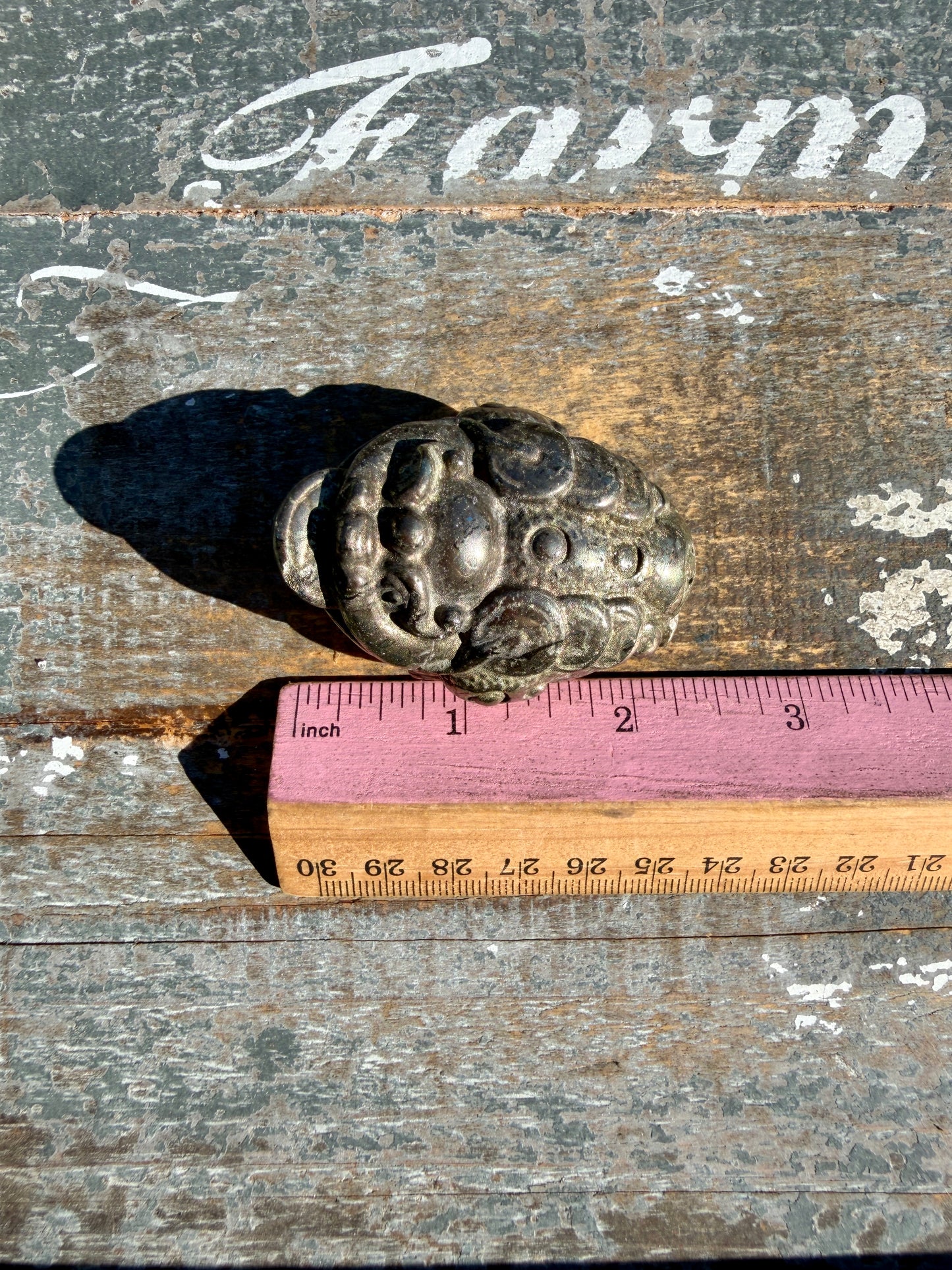 Money Manifestation Pyrite Money Toad | Opt 49