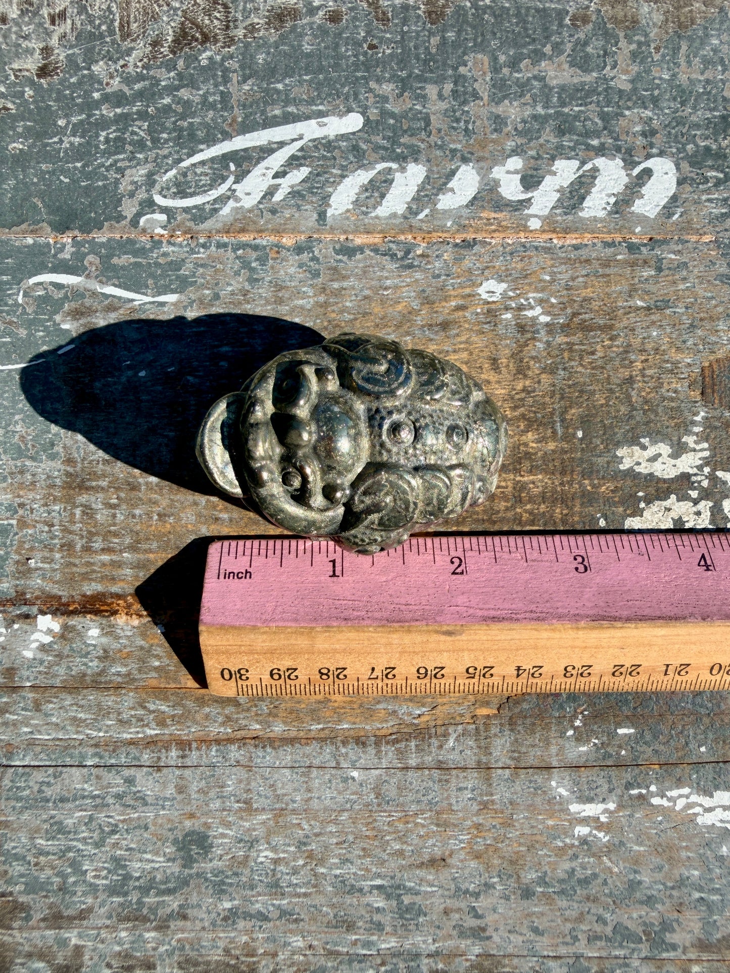 Money Manifestation Pyrite Money Toad | Opt 48