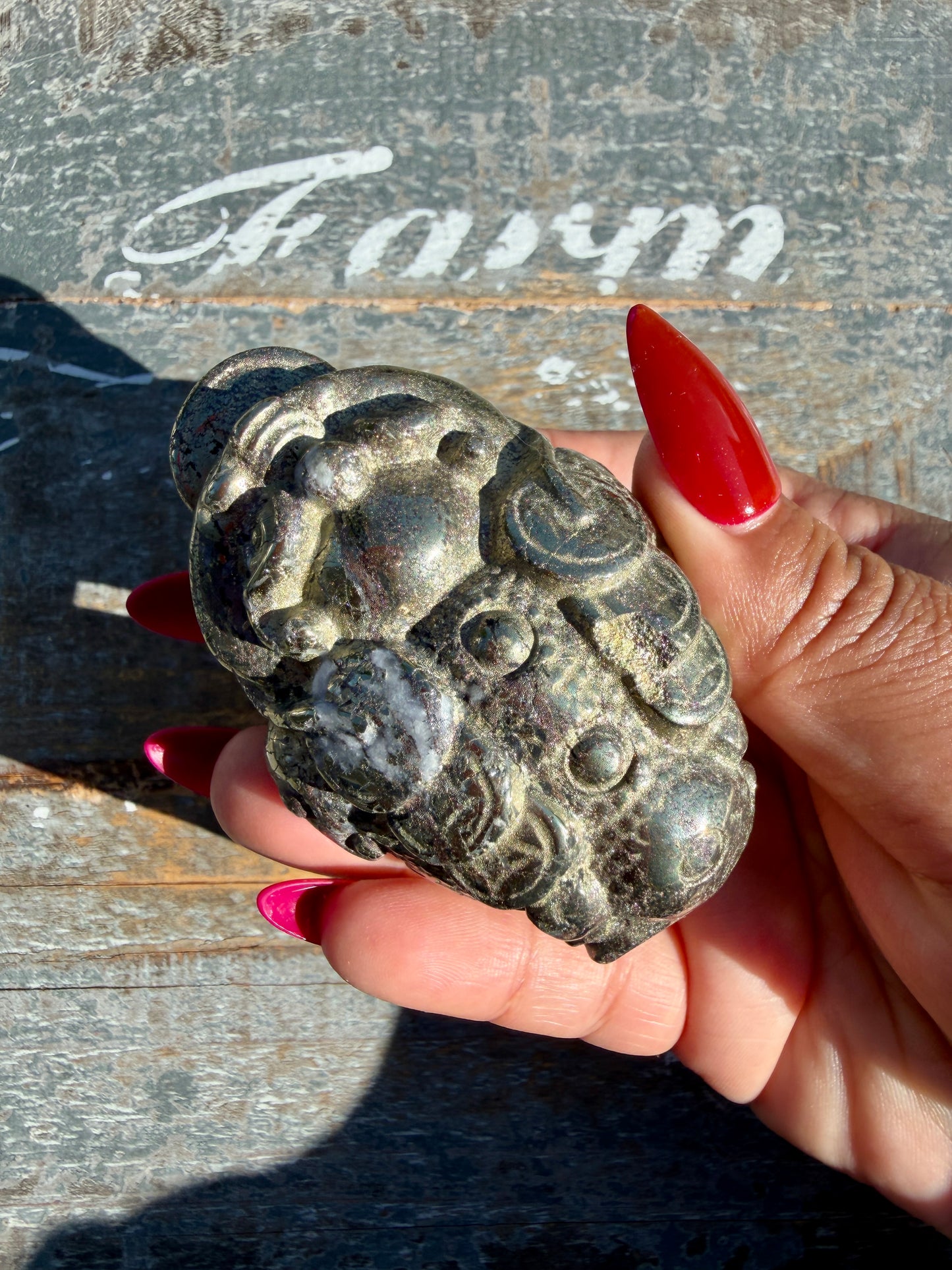Money Manifestation Pyrite Money Toad | Opt 53