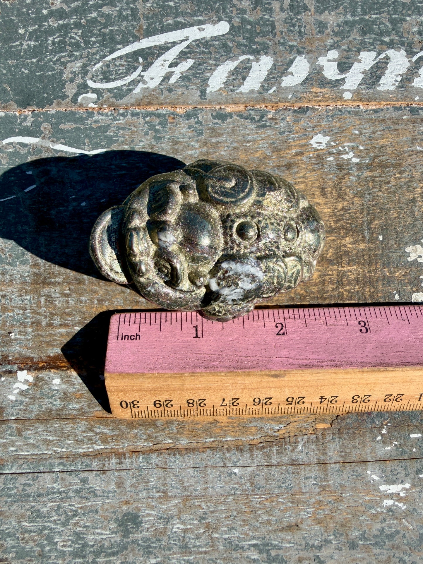 Money Manifestation Pyrite Money Toad | Opt 53