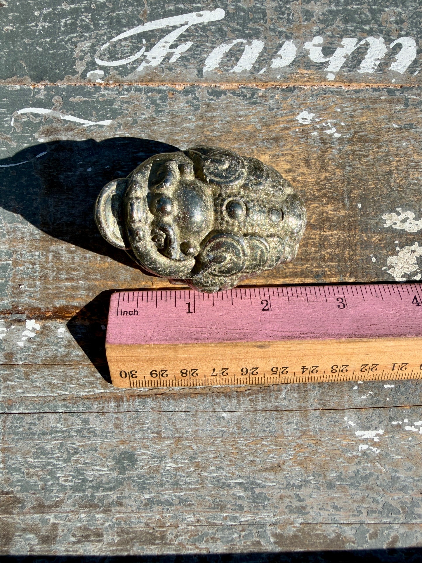 Money Manifestation Pyrite Money Toad | Opt 47