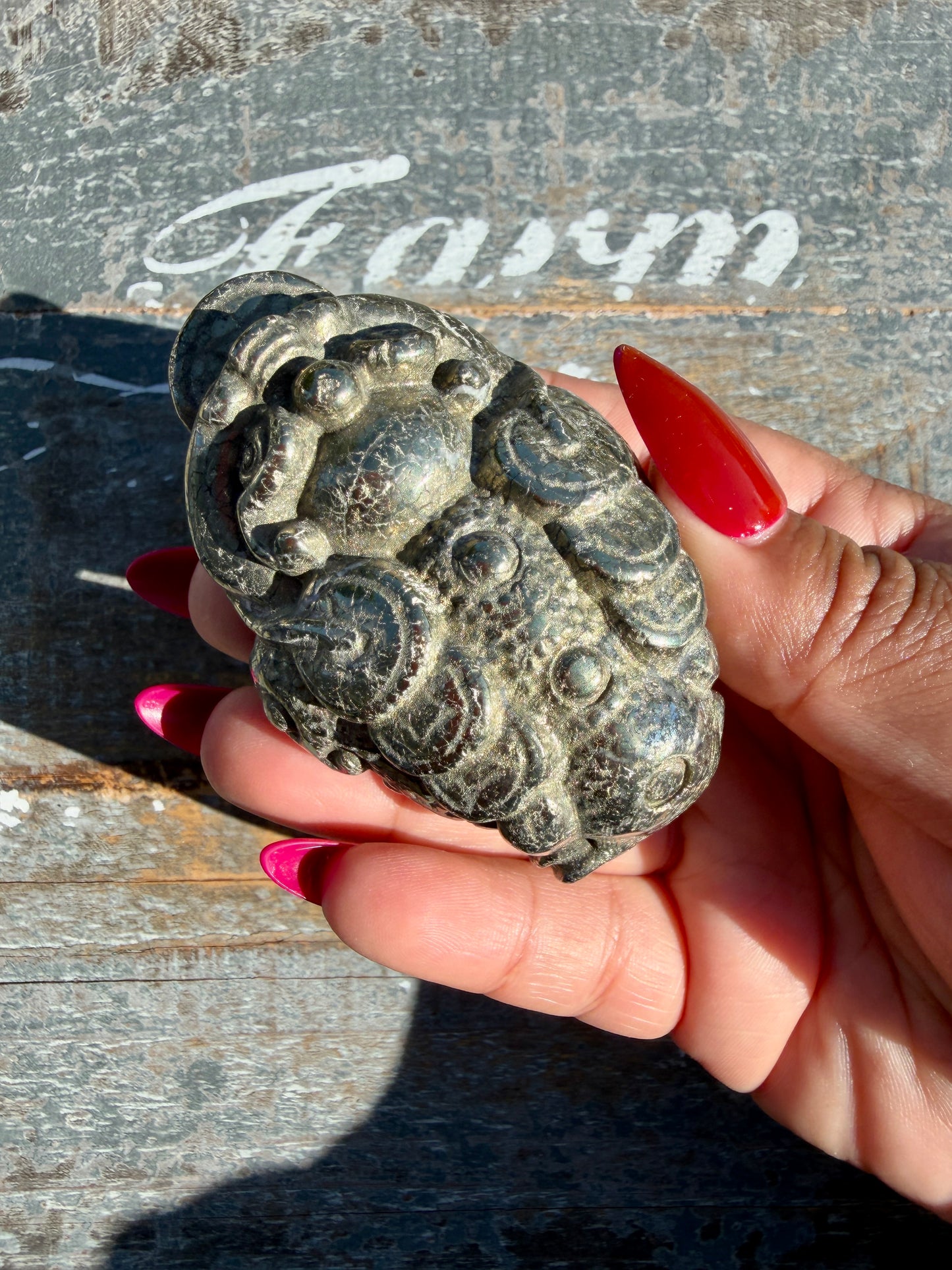 Money Manifestation Pyrite Money Toad | Opt 46