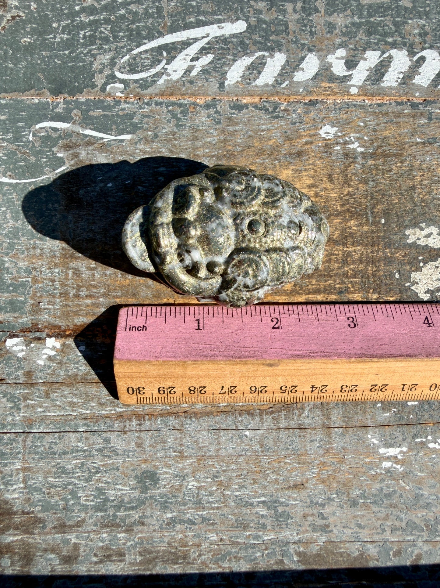 Money Manifestation Pyrite Money Toad | Opt 51