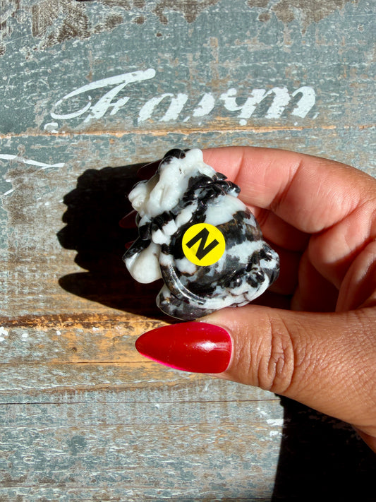 Zebra Jasper Dragon Turtle | Opt N