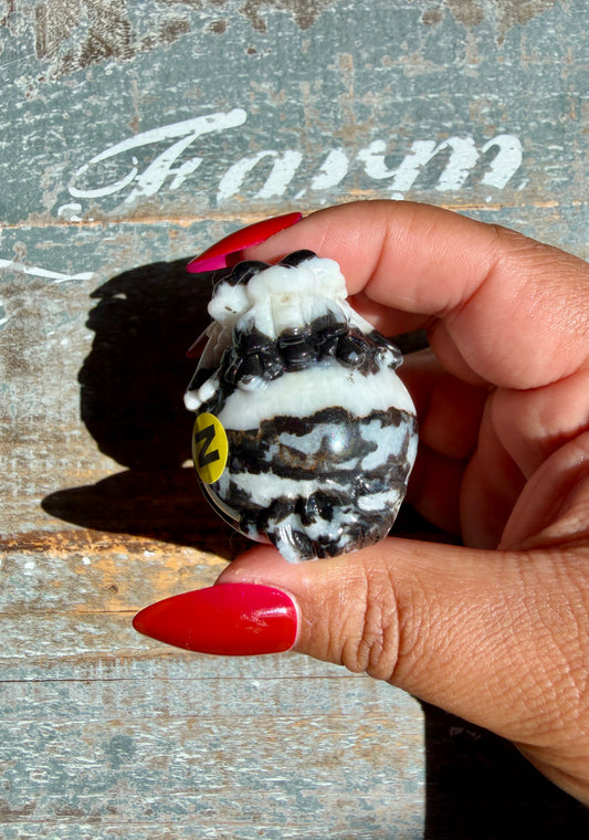 Zebra Jasper Dragon Turtle | Opt N