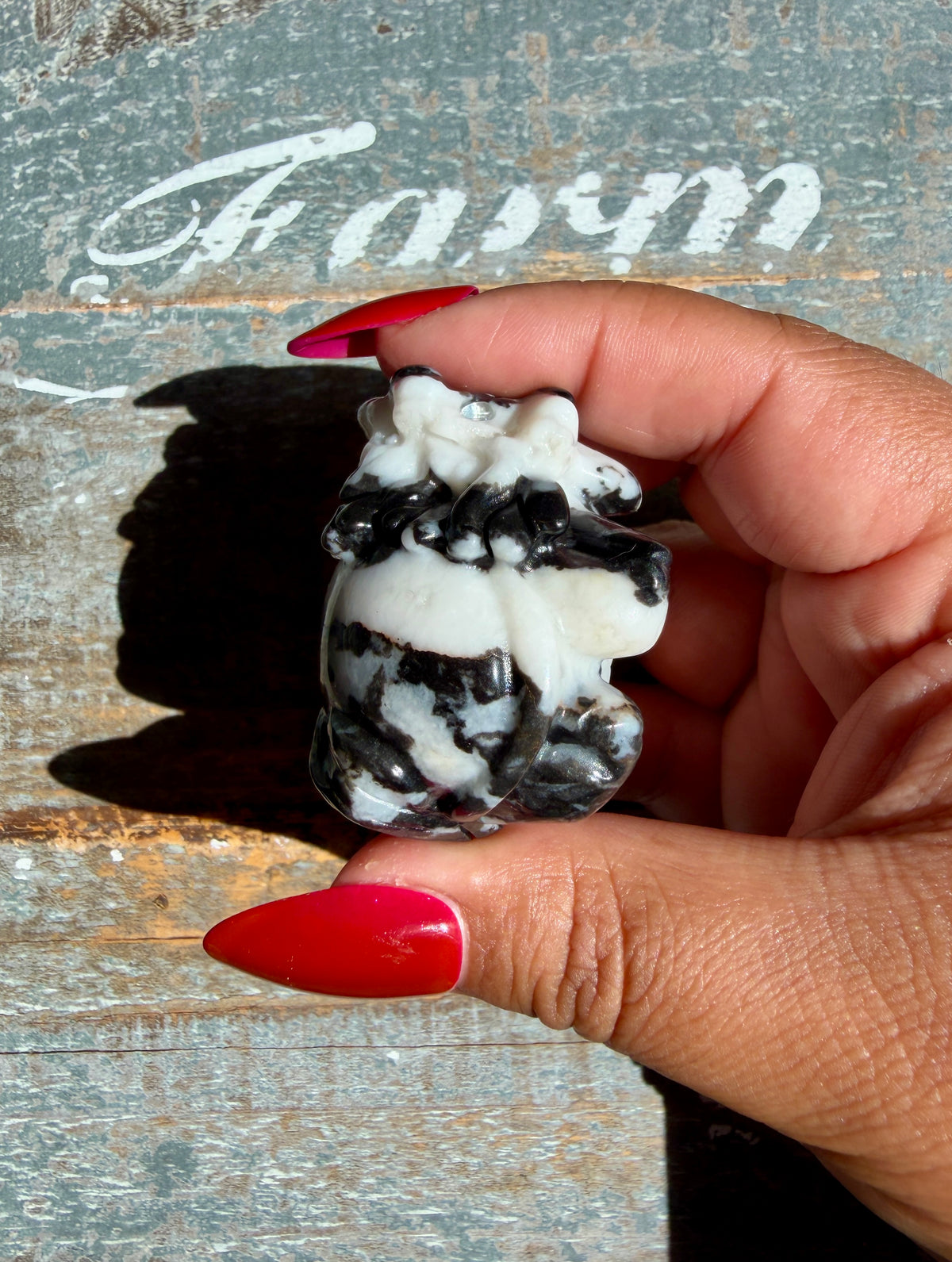 Zebra Jasper Dragon Turtle | Opt N