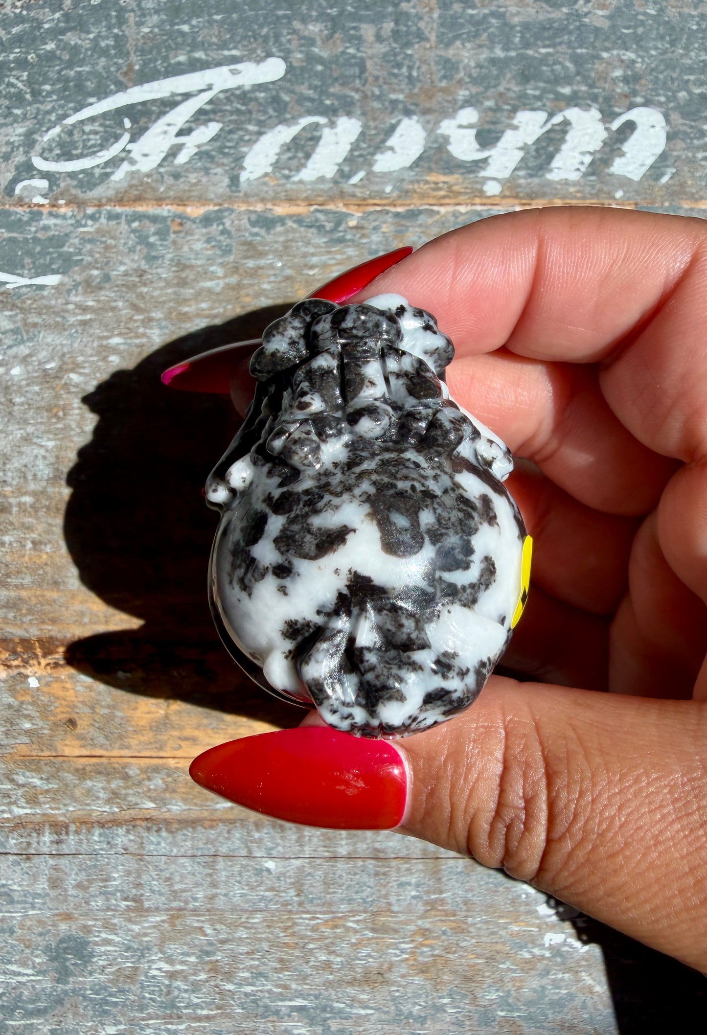 Zebra Jasper Dragon Turtle | Opt L