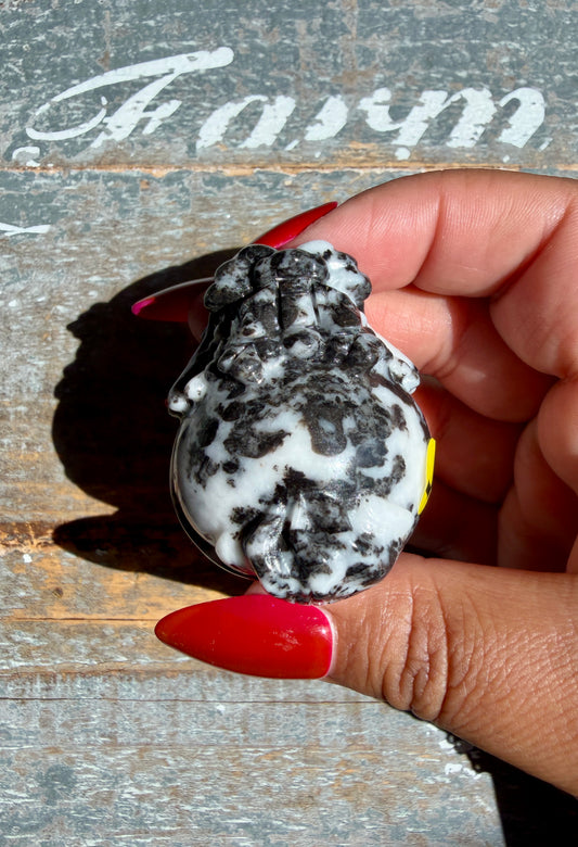 Zebra Jasper Dragon Turtle | Opt L