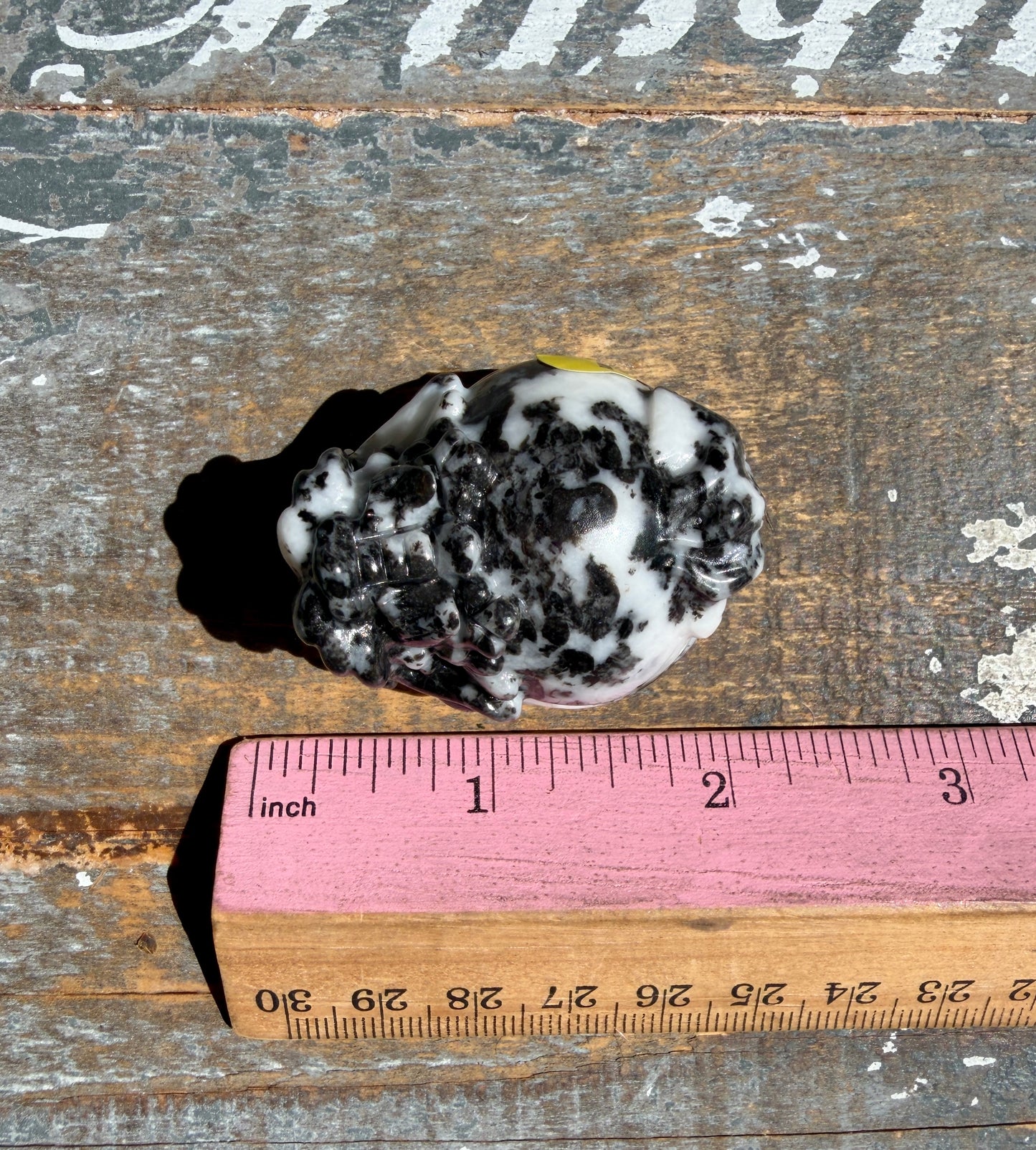 Zebra Jasper Dragon Turtle | Opt L
