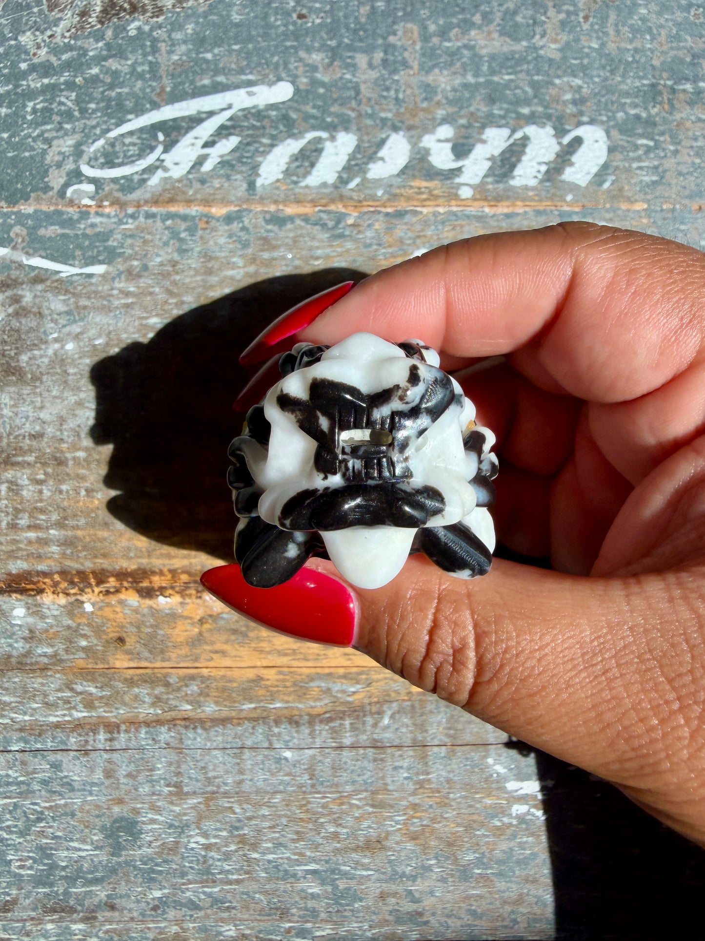 Zebra Jasper Dragon Turtle | Opt K