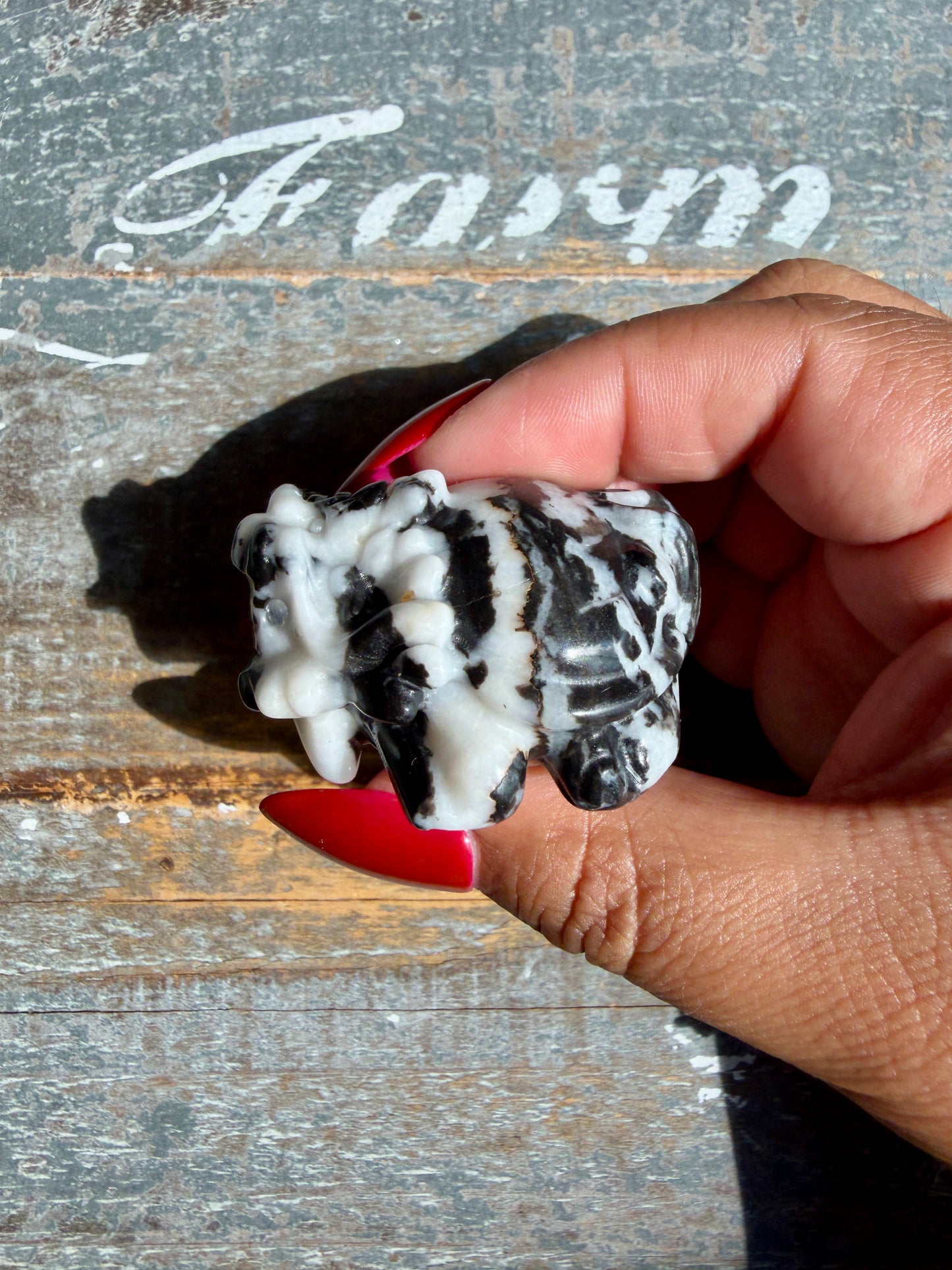 Zebra Jasper Dragon Turtle | Opt K