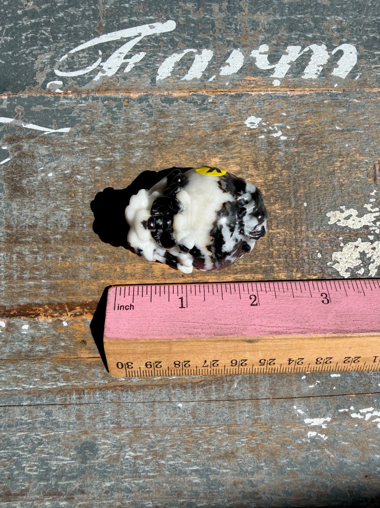 Zebra Jasper Dragon Turtle | Opt K