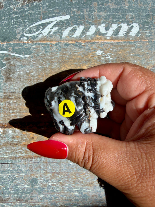 Zebra Jasper Dragon Turtle | Opt A