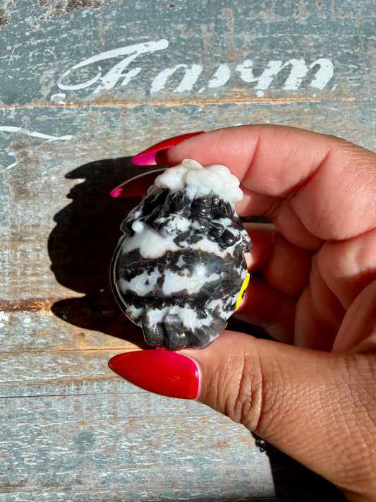 Zebra Jasper Dragon Turtle | Opt A