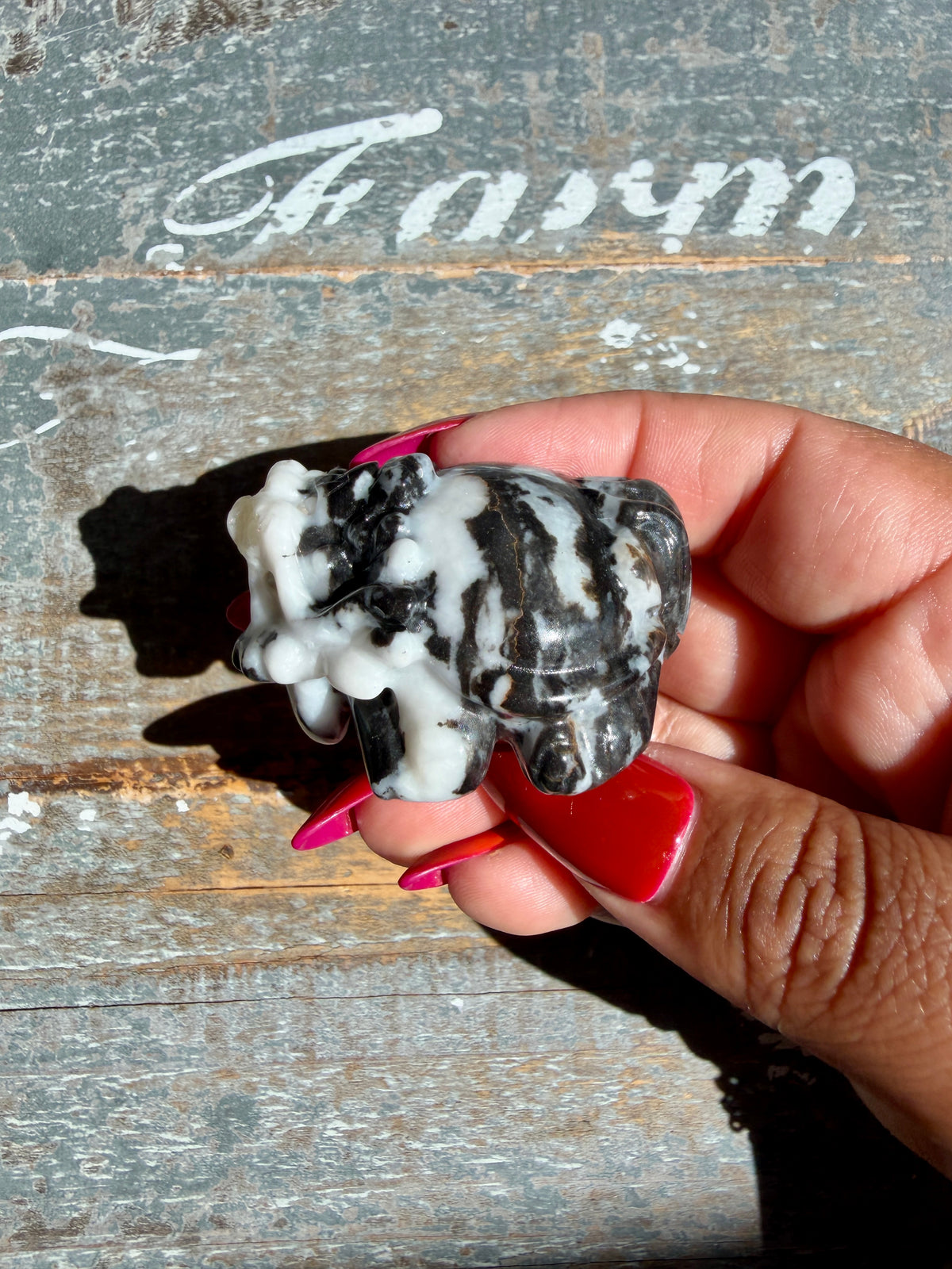 Zebra Jasper Dragon Turtle | Opt A