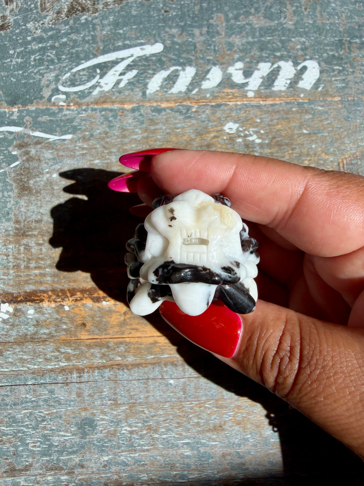 Zebra Jasper Dragon Turtle | Opt A