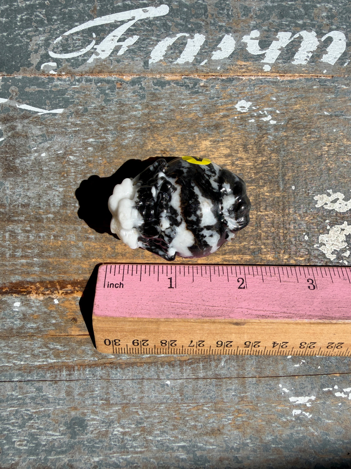 Zebra Jasper Dragon Turtle | Opt A