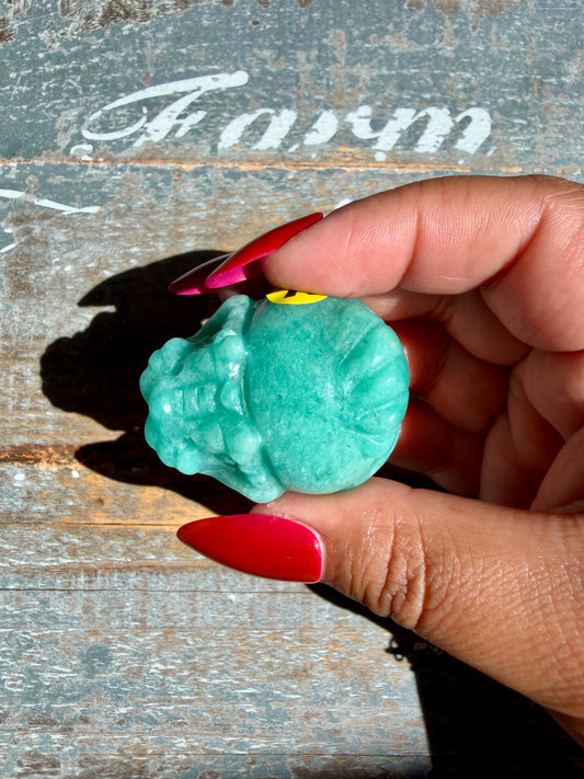 Amazonite Dragon Turtle | Opt Y
