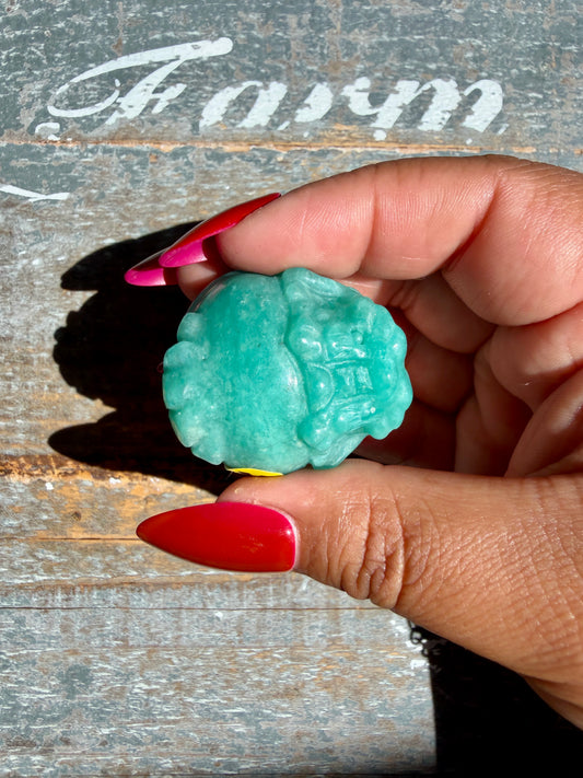 Amazonite Dragon Turtle | Opt X