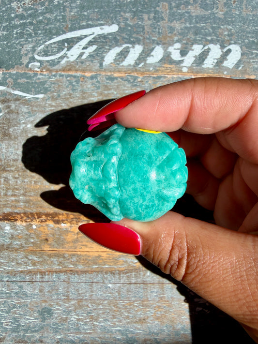 Amazonite Dragon Turtle | Opt W