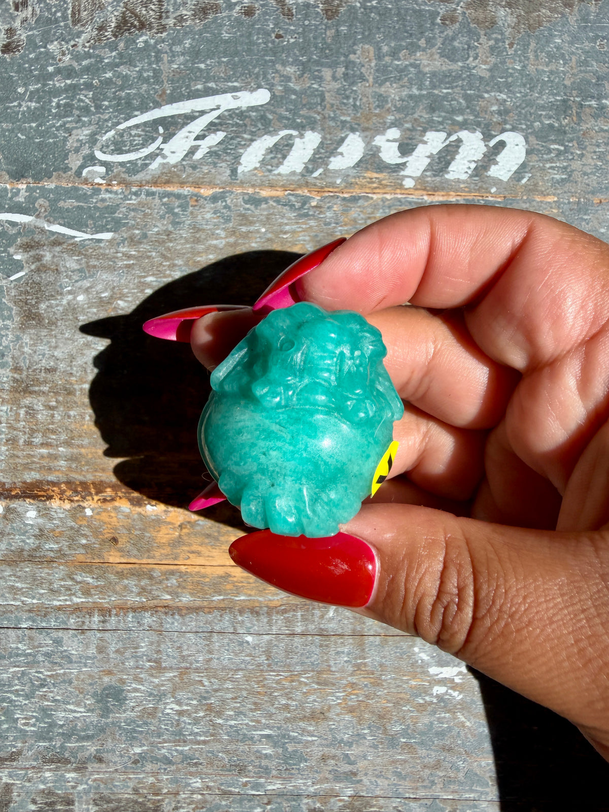 Amazonite Dragon Turtle | Opt V