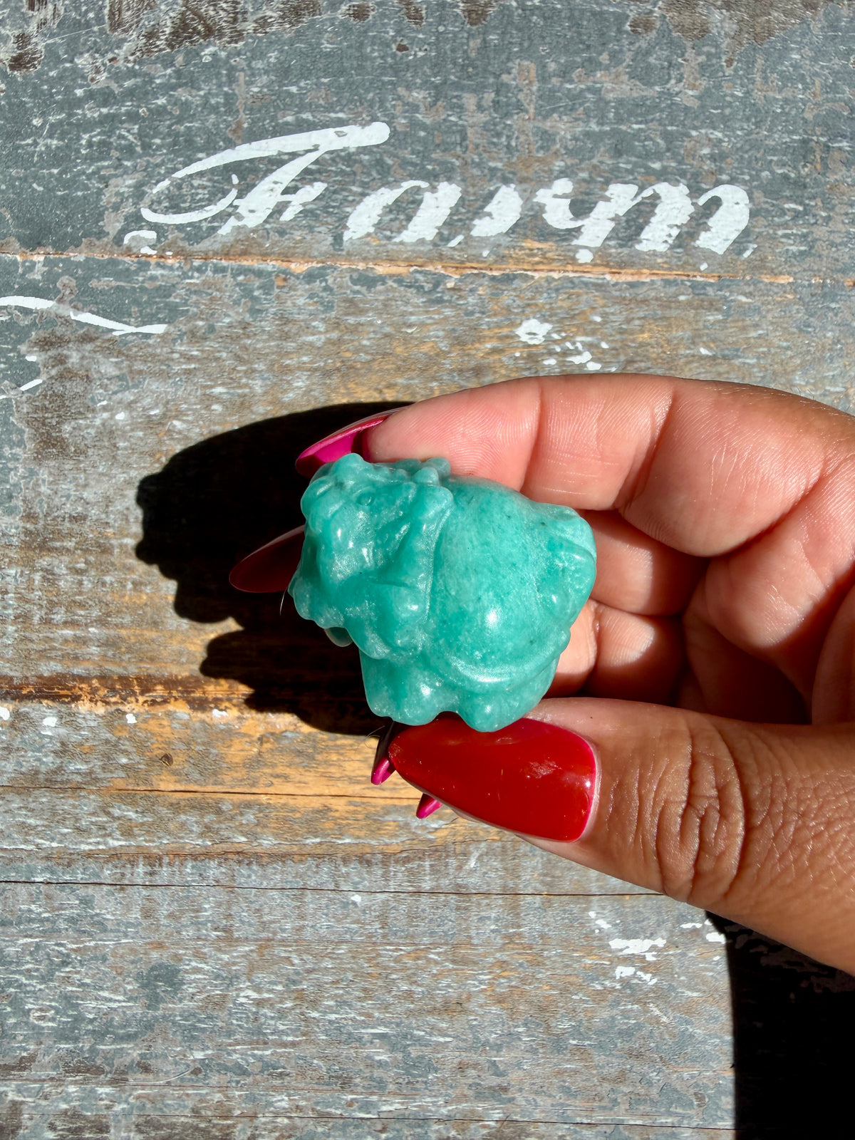 Amazonite Dragon Turtle | Opt V