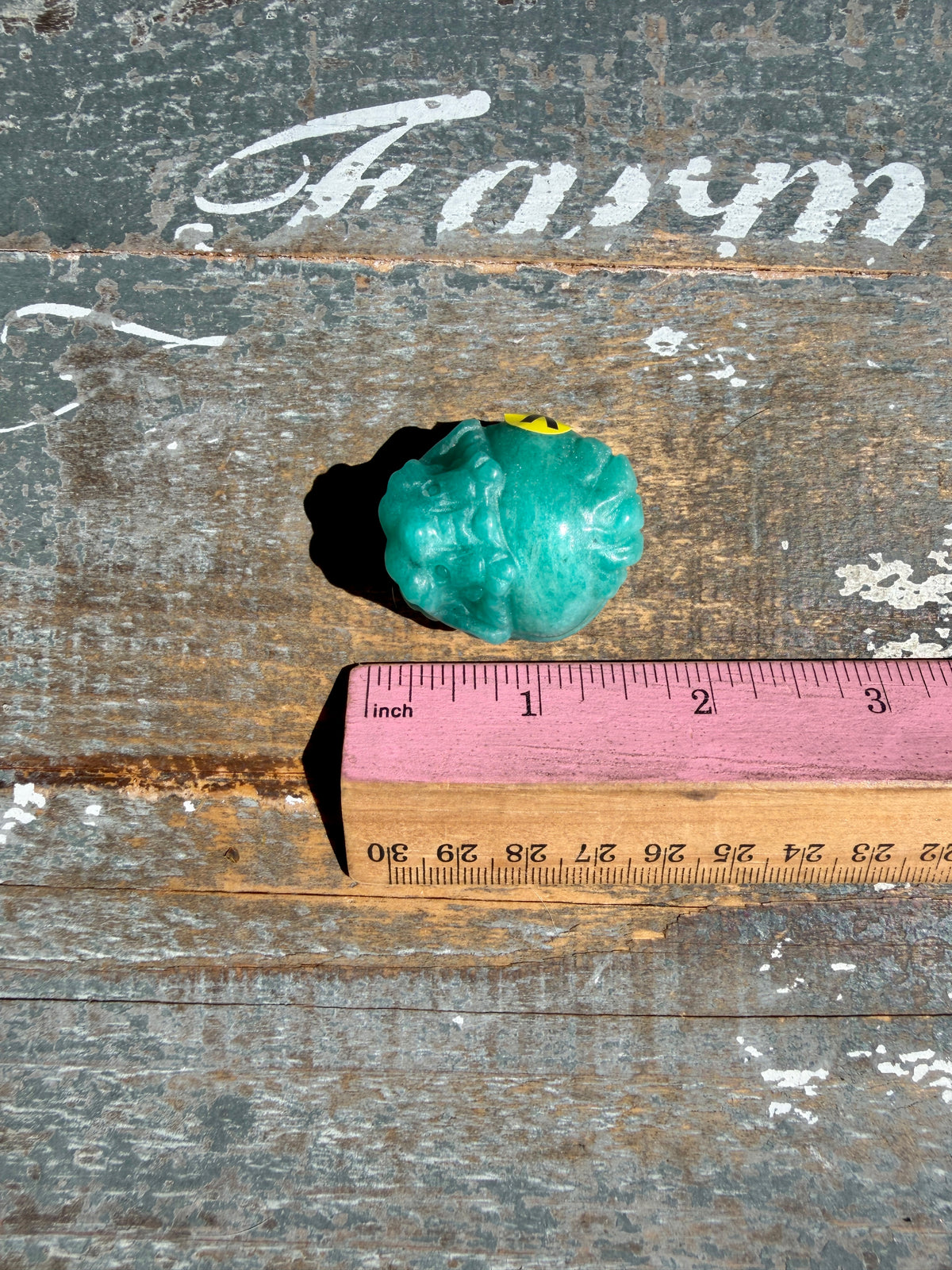 Amazonite Dragon Turtle | Opt V