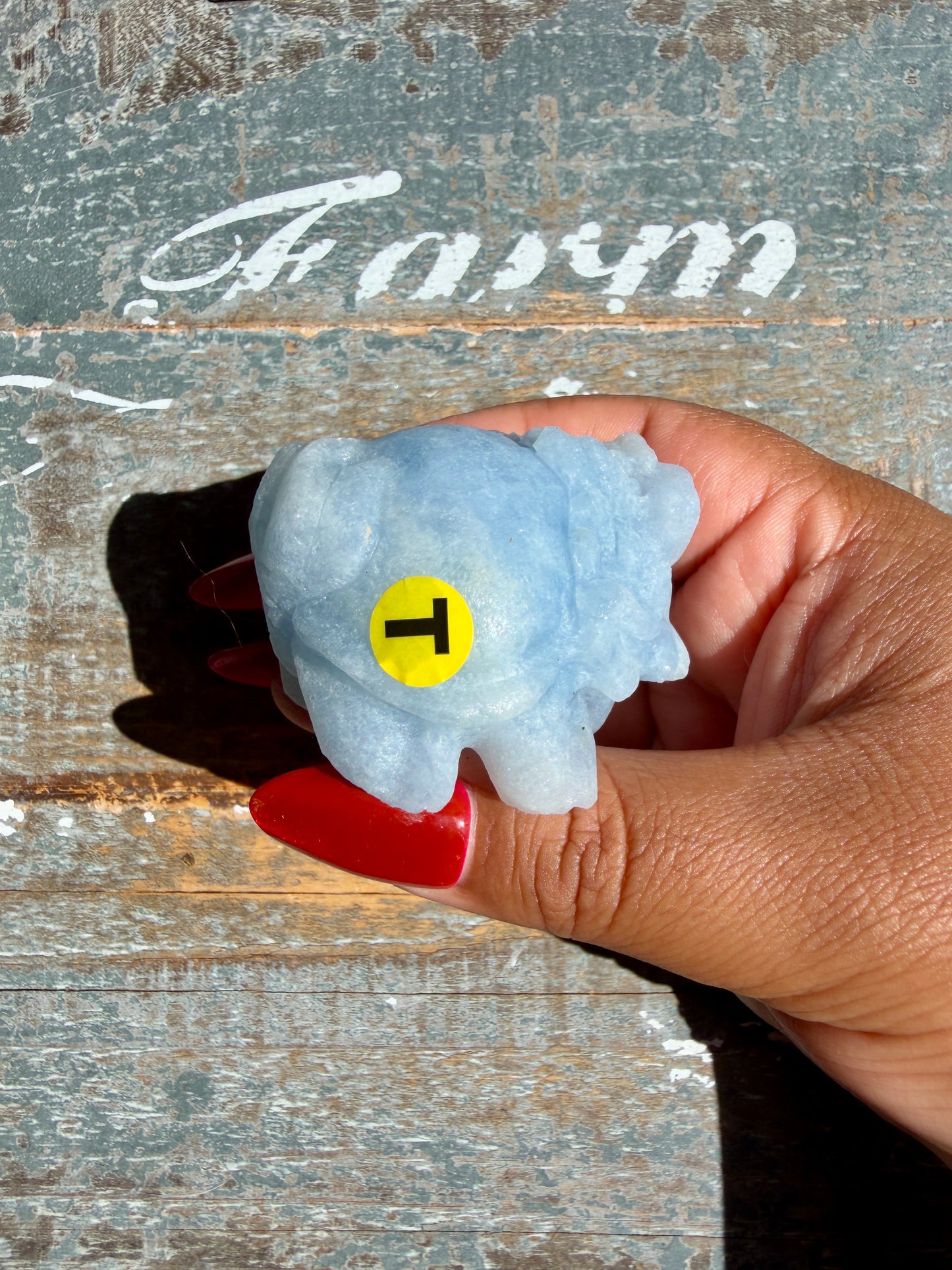 Angelite Dragon Turtle | Opt T (Matte Polished)
