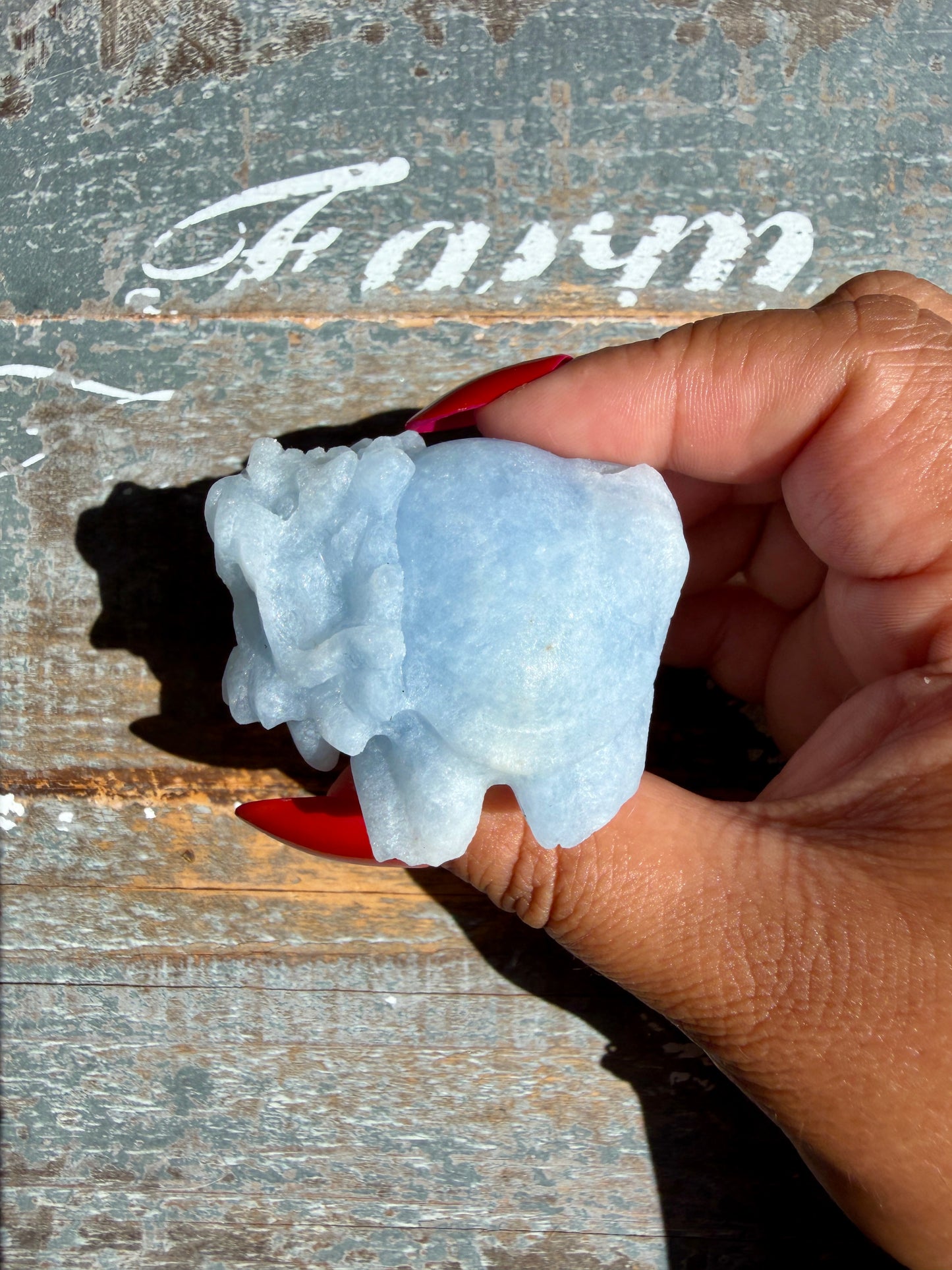 Angelite Dragon Turtle | Opt T (Matte Polished)