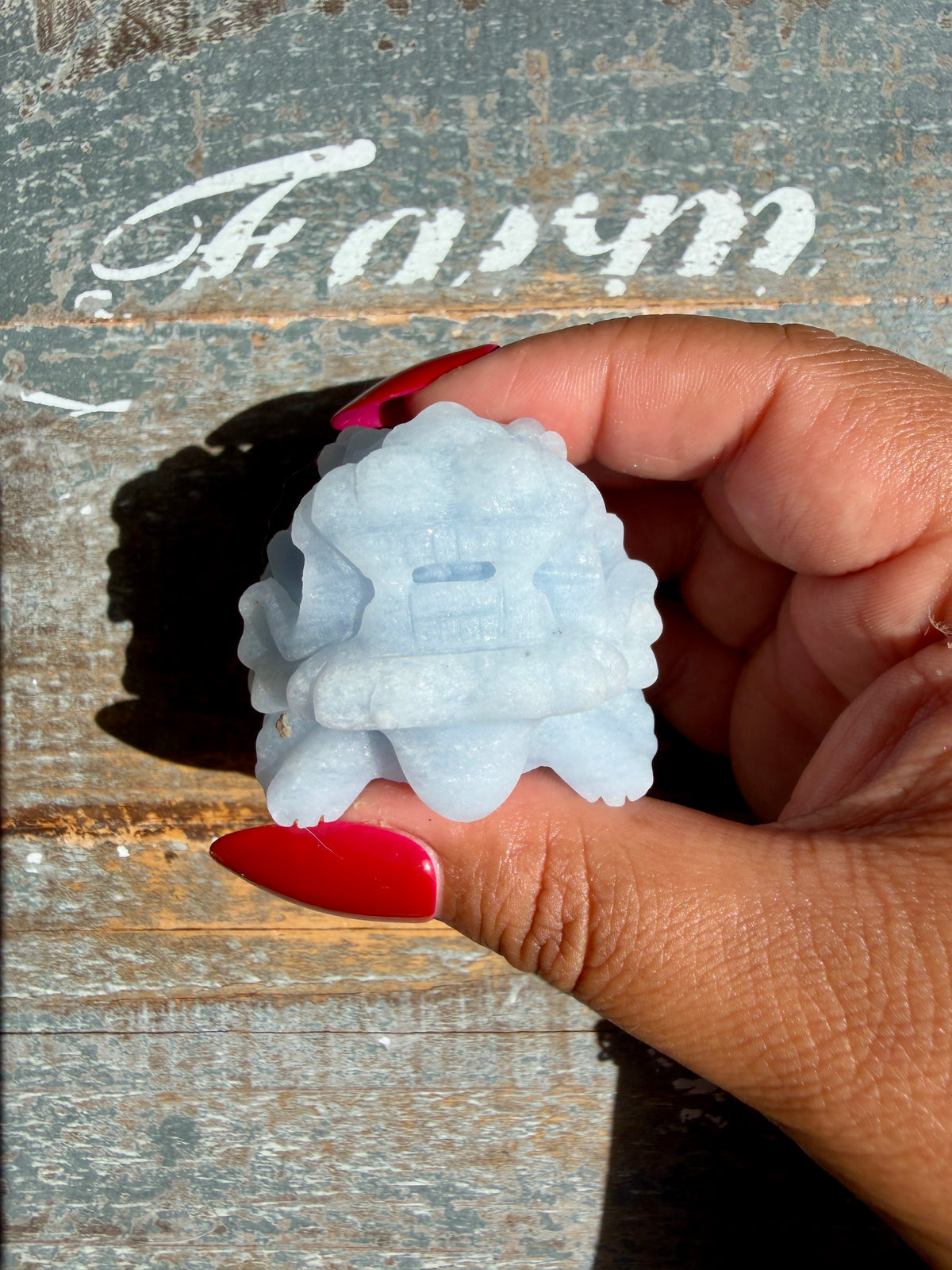 Angelite Dragon Turtle | Opt R (Matte Polished)