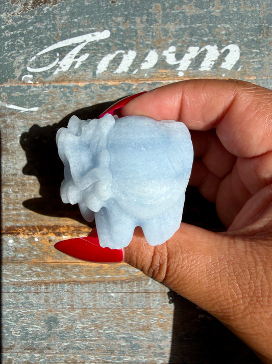 Angelite Dragon Turtle | Opt R (Matte Polished)