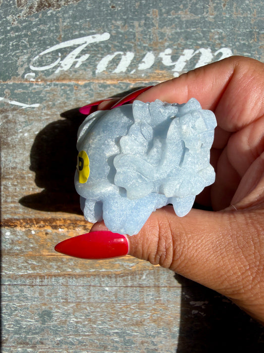 Angelite Dragon Turtle | Opt P (Matte Polished)