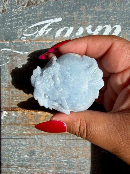 Angelite Dragon Turtle | Opt P (Matte Polished)