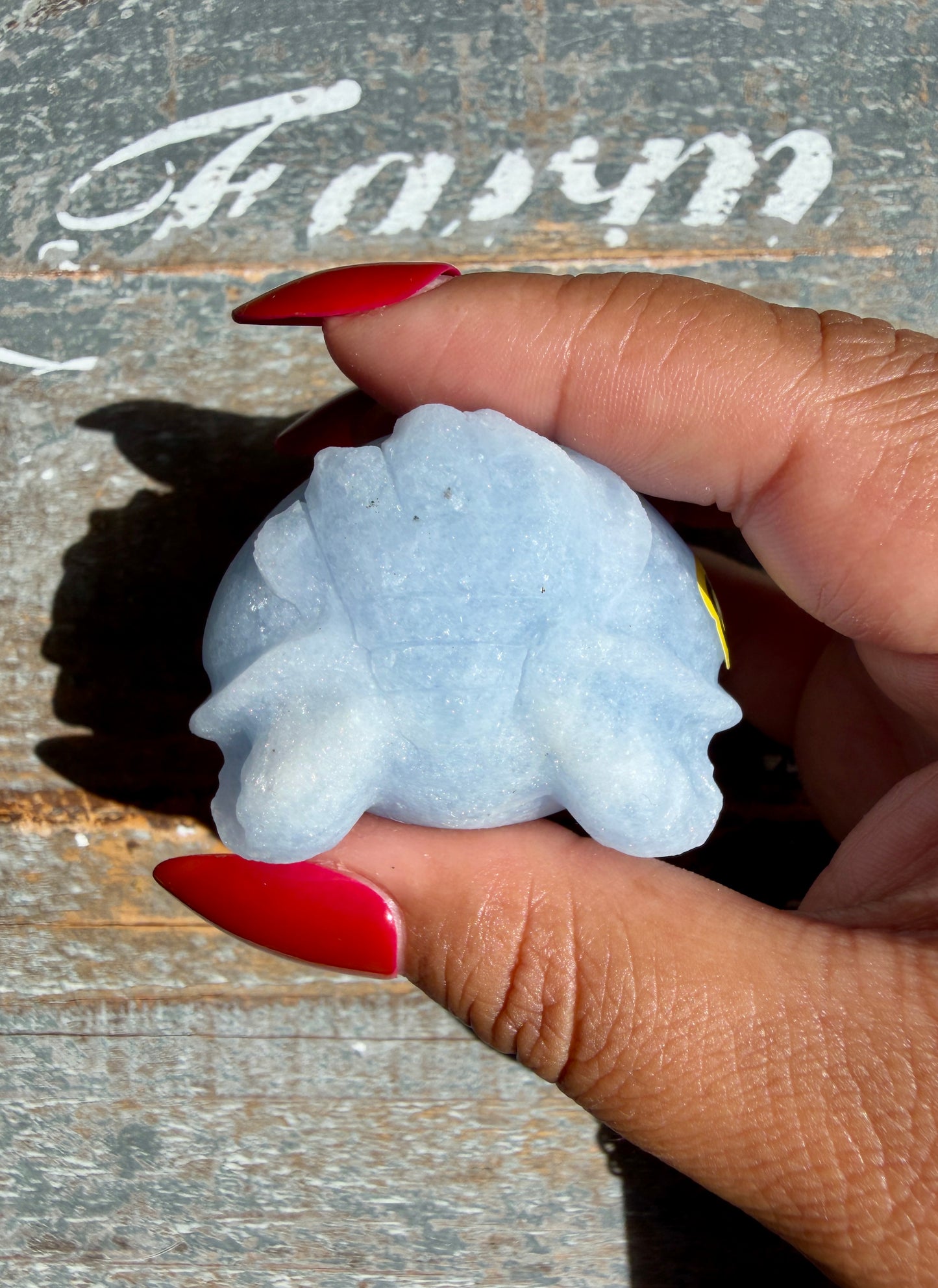 Angelite Dragon Turtle | Opt Q (Matte Polished)