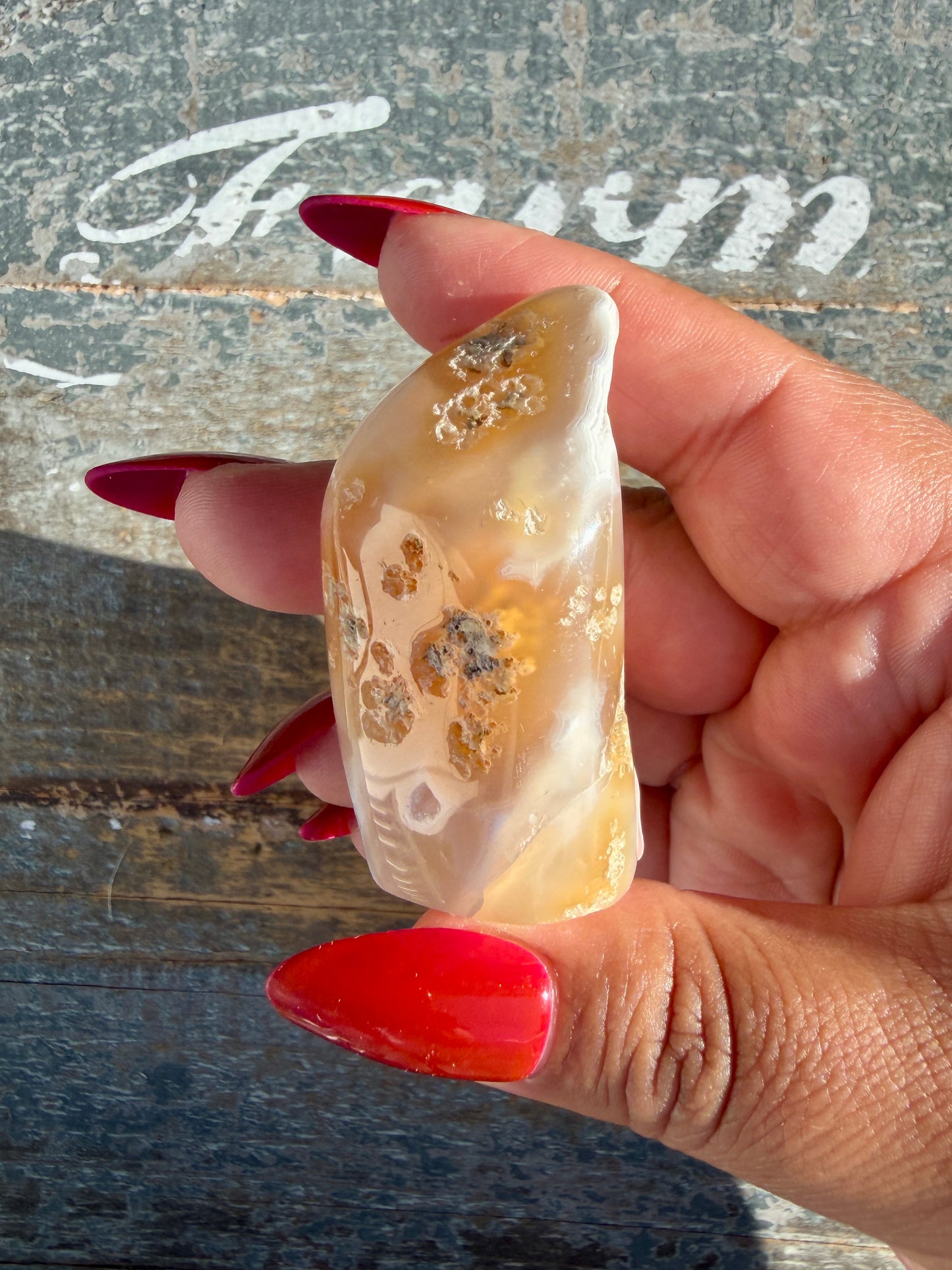 Gorgeous Indonesian Scenic Moss Agate Freeform | Opt 16
