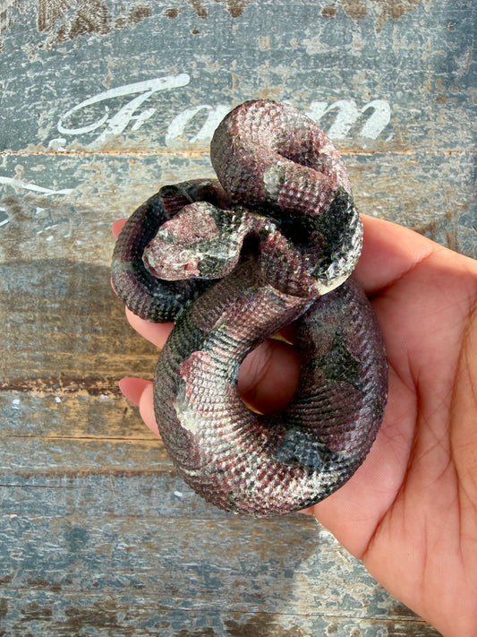 Gorgeous Garnet in Astrophyllite Snake | Opt S