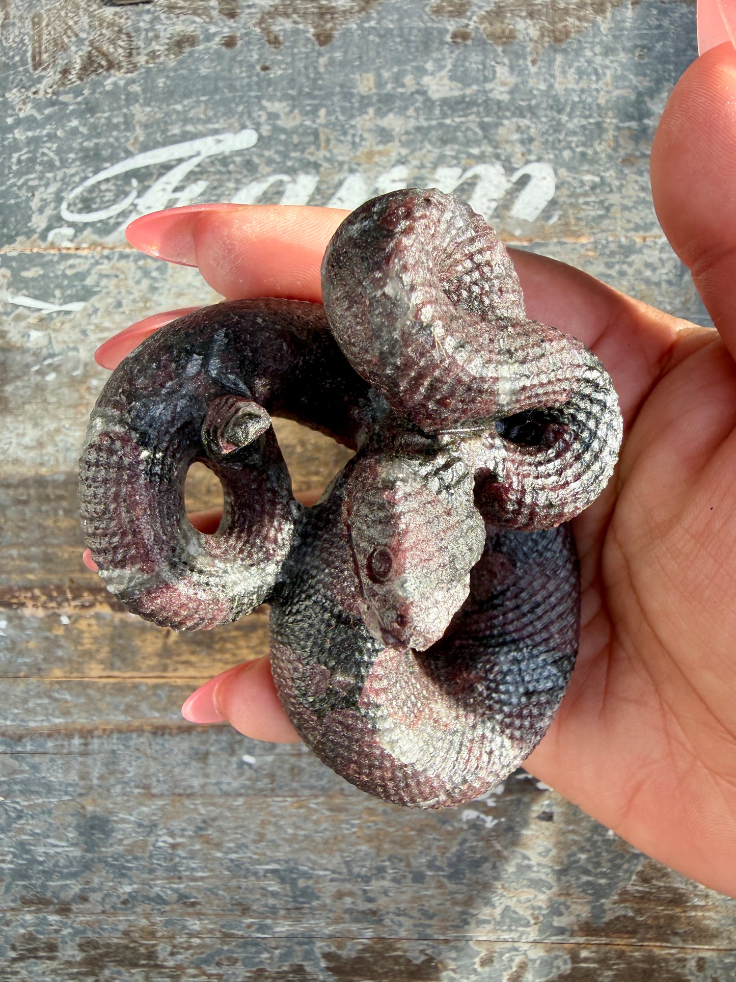 Gorgeous Garnet in Astrophyllite Snake | Opt S