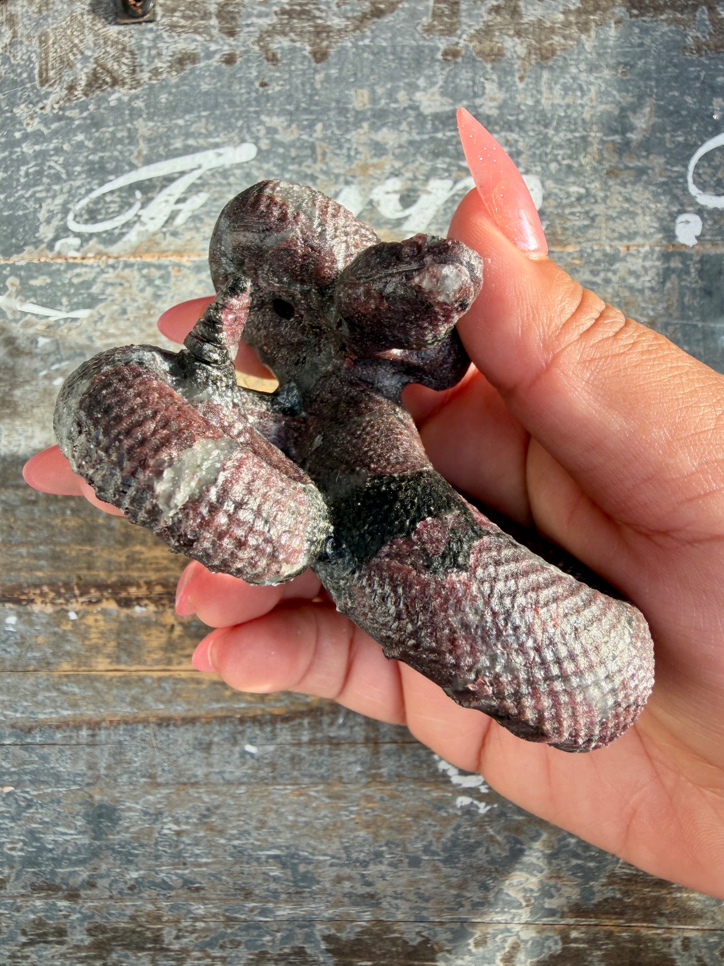 Gorgeous Garnet in Astrophyllite Snake | Opt S