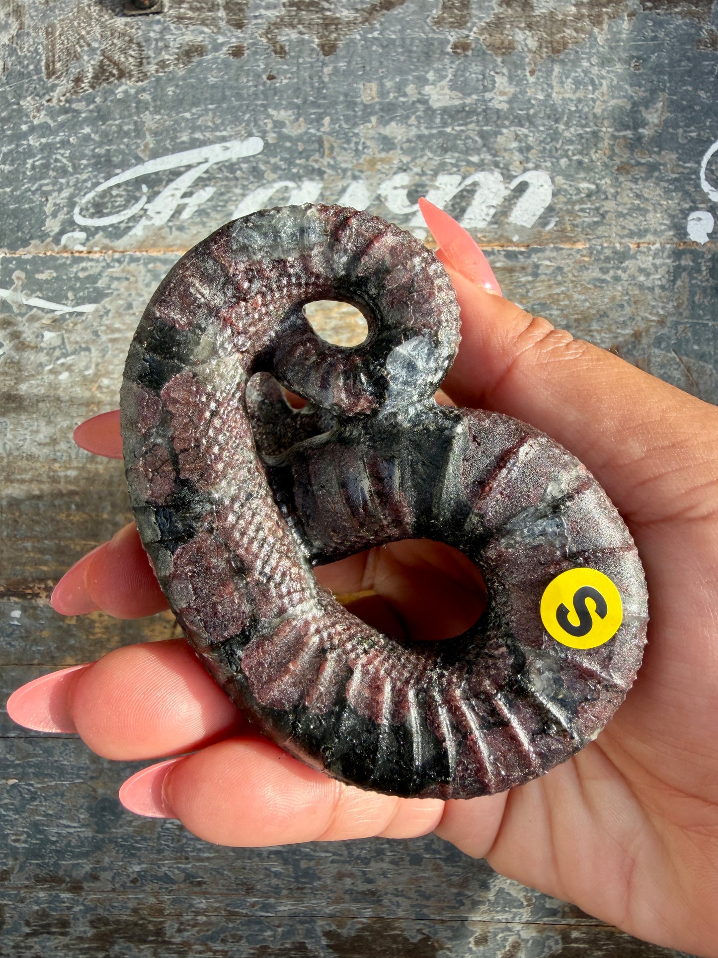 Gorgeous Garnet in Astrophyllite Snake | Opt S