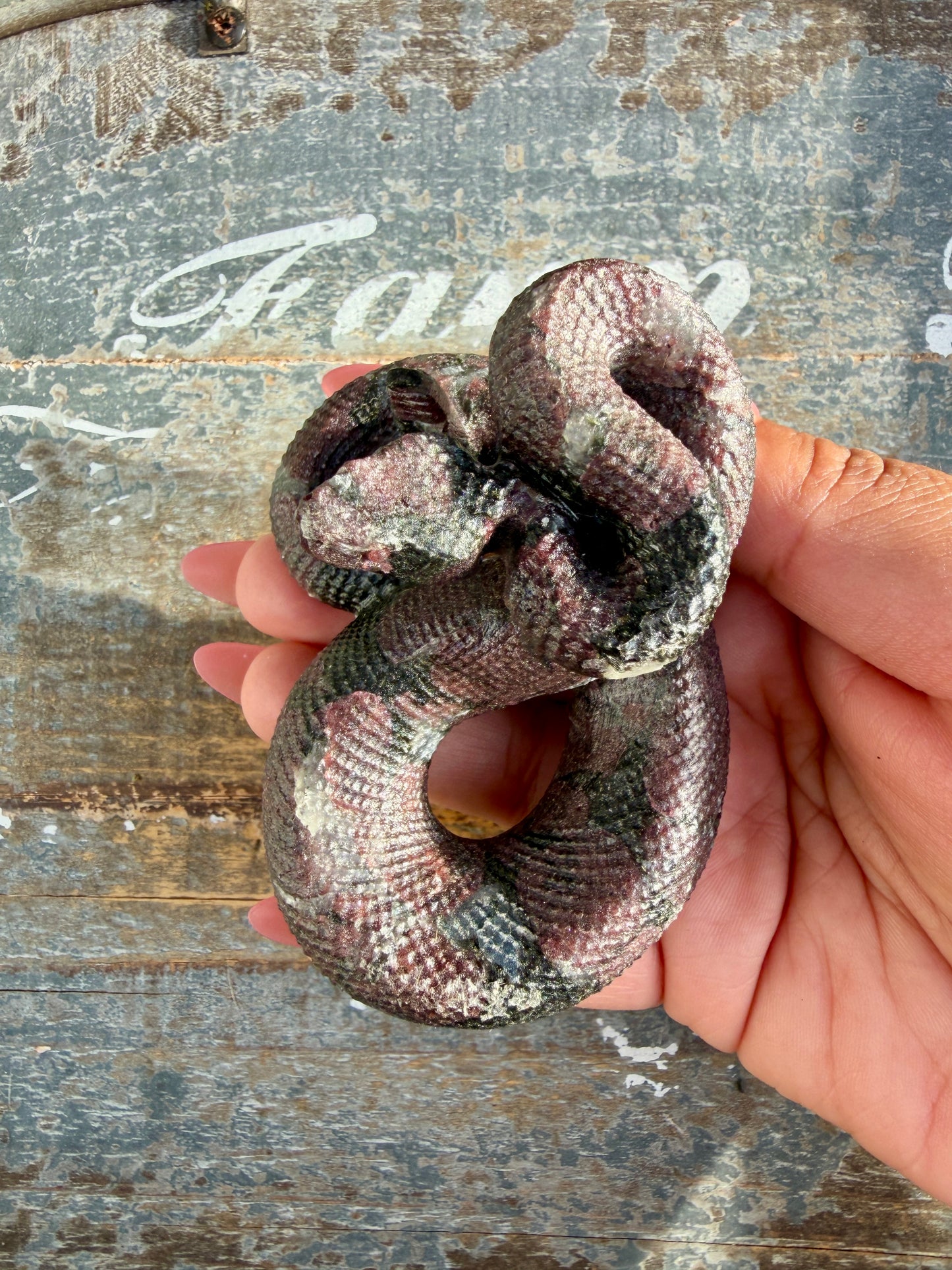Gorgeous Garnet in Astrophyllite Snake | Opt S