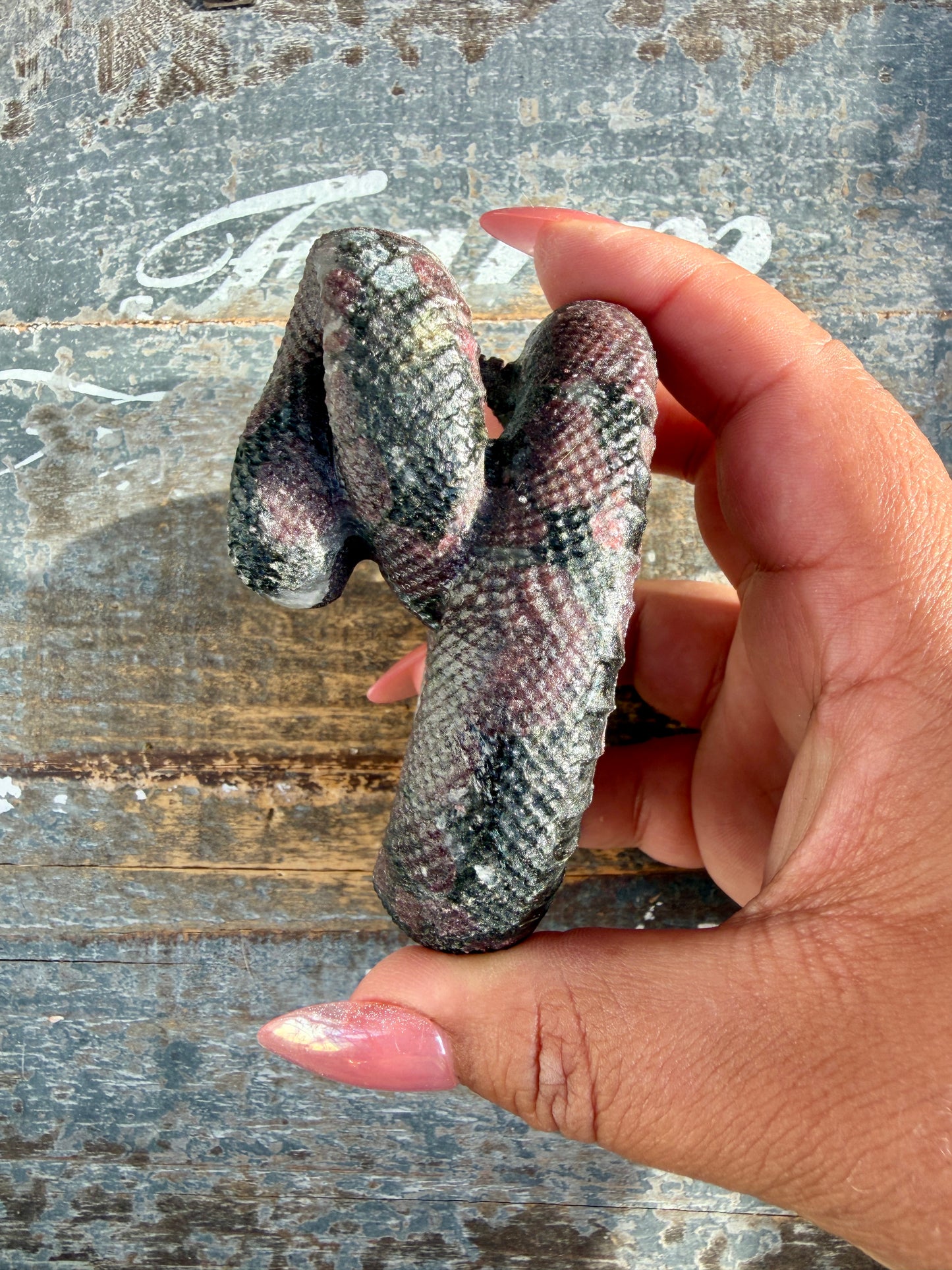 Gorgeous Garnet in Astrophyllite Snake | Opt S