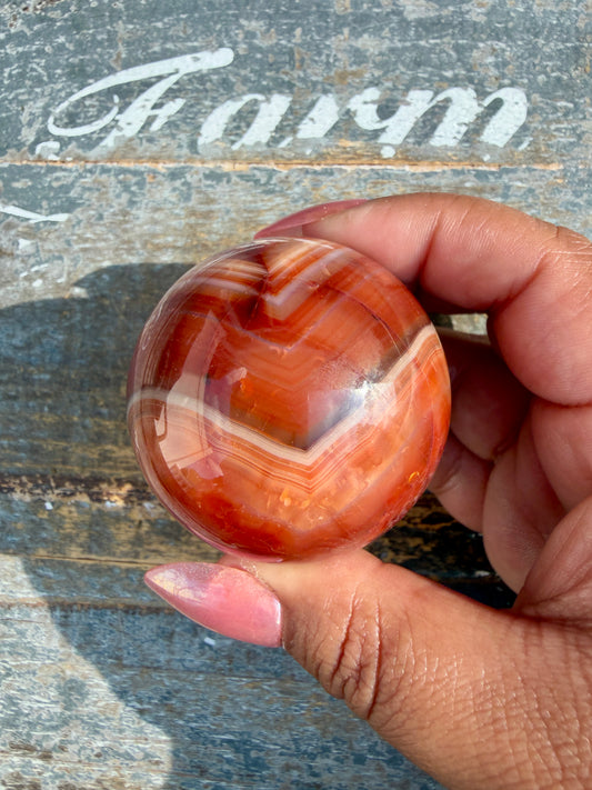 Gorgeous Carnelian/Orca Agate Sphere | Opt 14