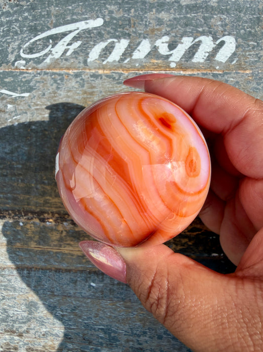 Gorgeous Carnelian/Orca Agate Sphere | Opt 34