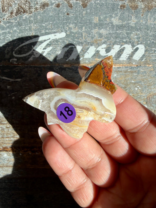 Gorgeous Indonesian Scenic Moss Mini Butterfly | Opt 18