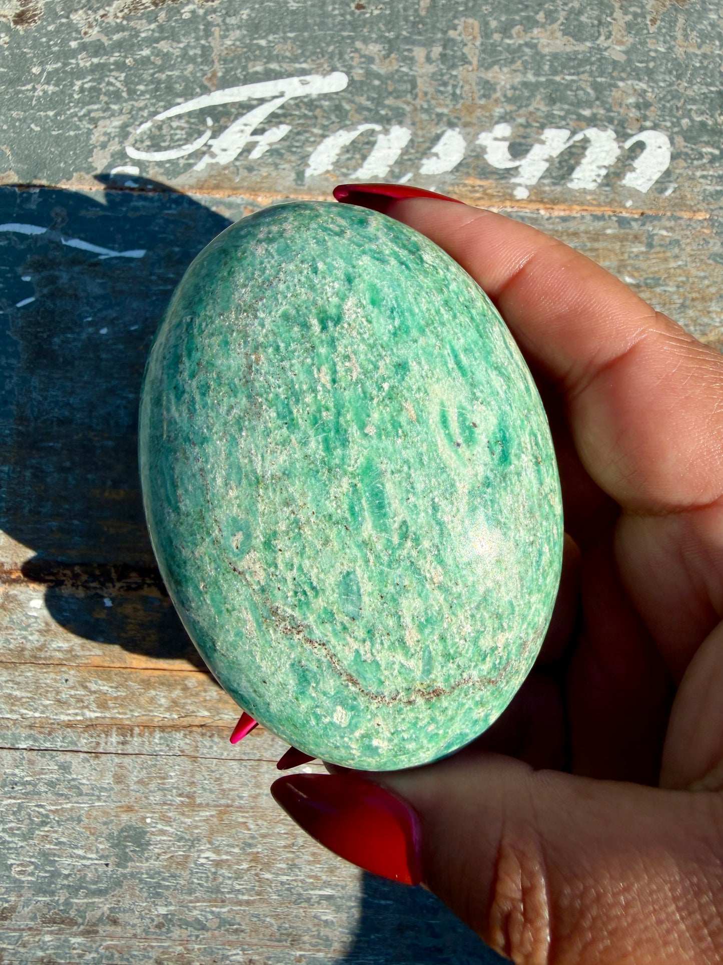 Gorgeous Ruby in Fuchsite Palm Stone | India | Opt 82