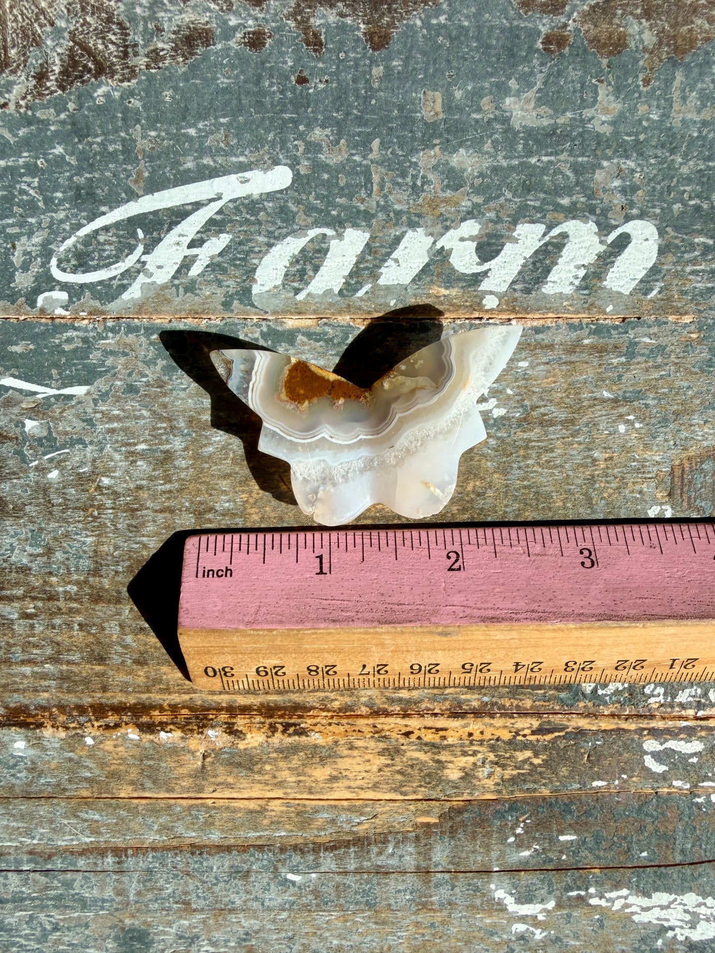 Gorgeous Indonesian Scenic Moss Mini Butterfly | Opt 39