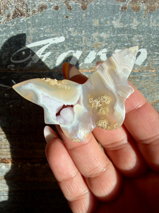 Gorgeous Indonesian Scenic Moss Mini Butterfly | Opt 17